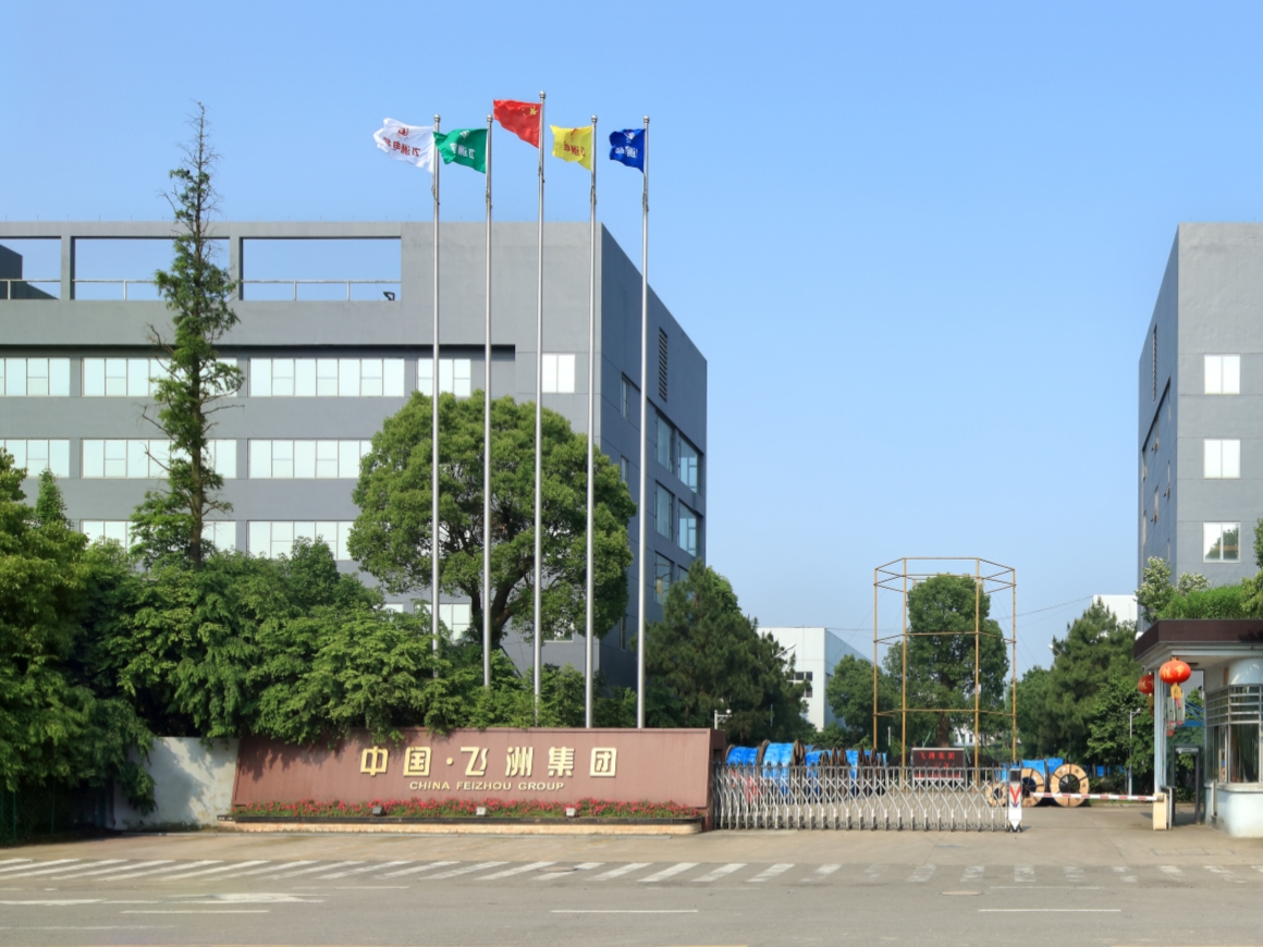 飞洲集团股份有限公司
